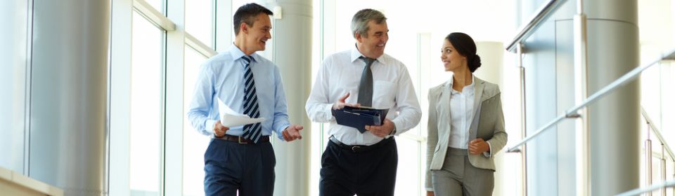 International Consultancy